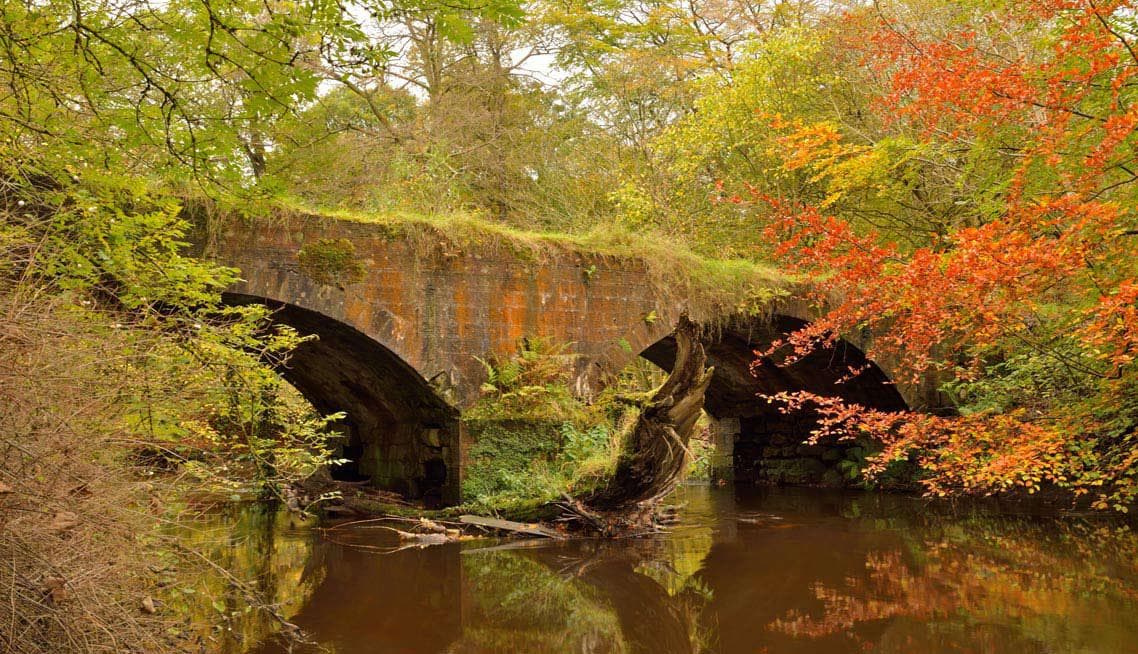 Funeral Directors in Bellshill