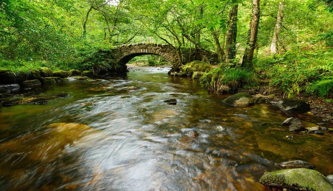 Funeral Directors in Bovey Tracey