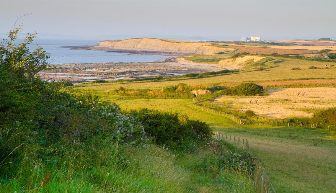 Funeral directors in Somerset